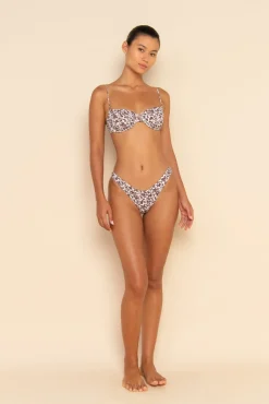 BELLE BRACUP - AUTUMN ROSE