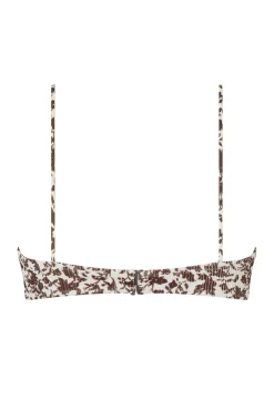 BELLE BRACUP - AUTUMN ROSE